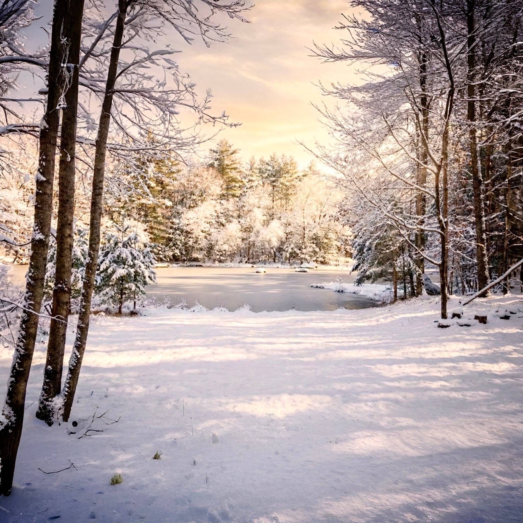 Snow-covered pond at Band Camp Ruins