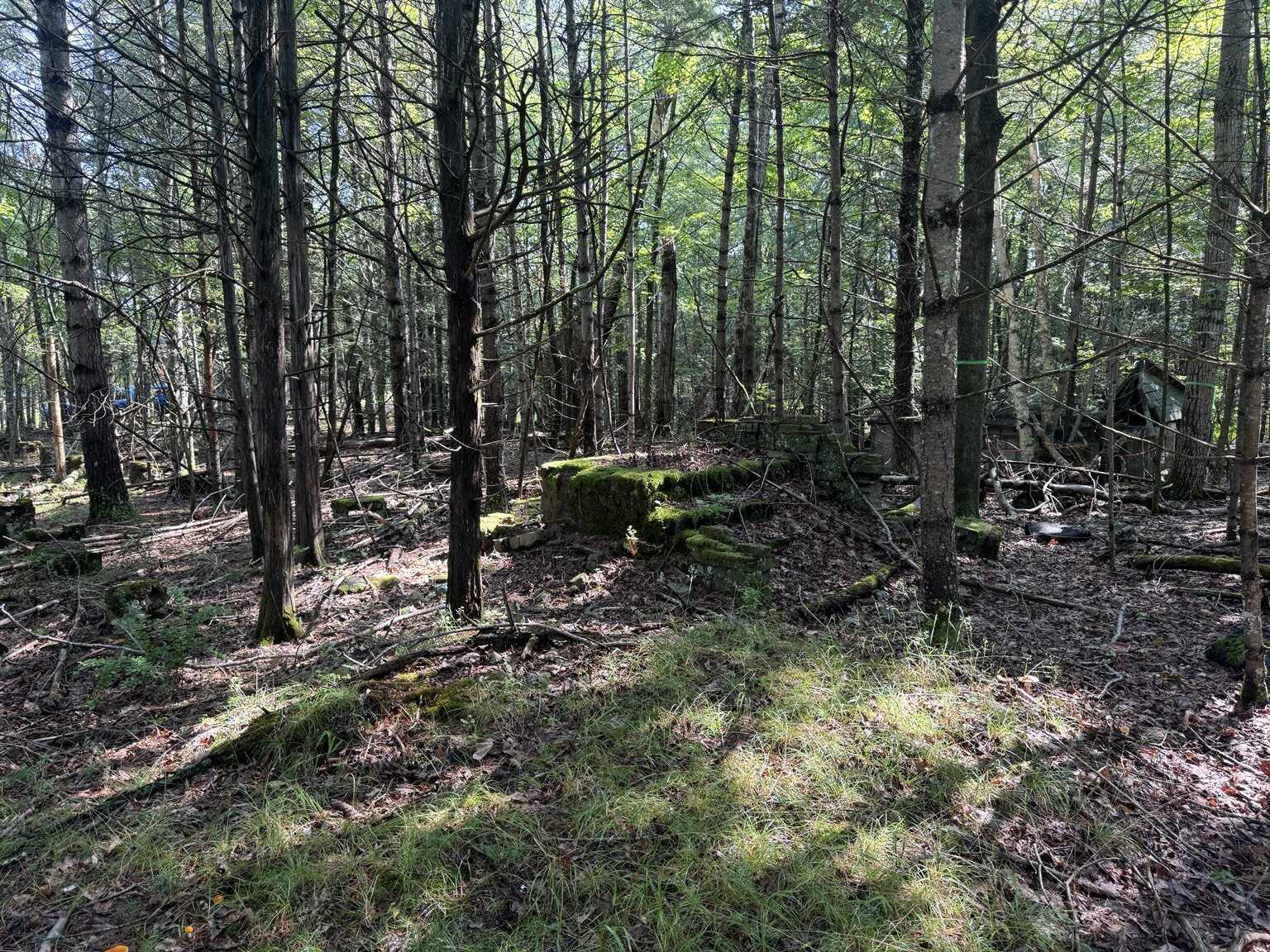 The surviving entrance stairs and stone foundations at Band Camp Ruins today